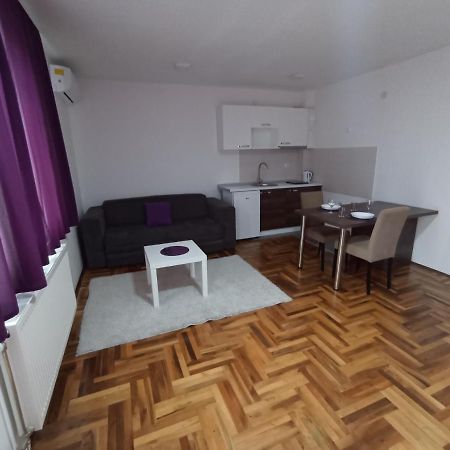 Sunny apartment Nis Bagian luar foto