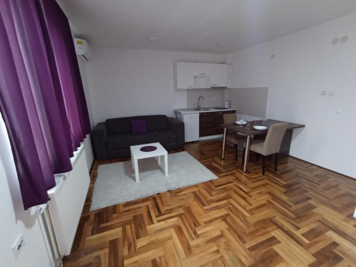 Sunny apartment Nis Bagian luar foto