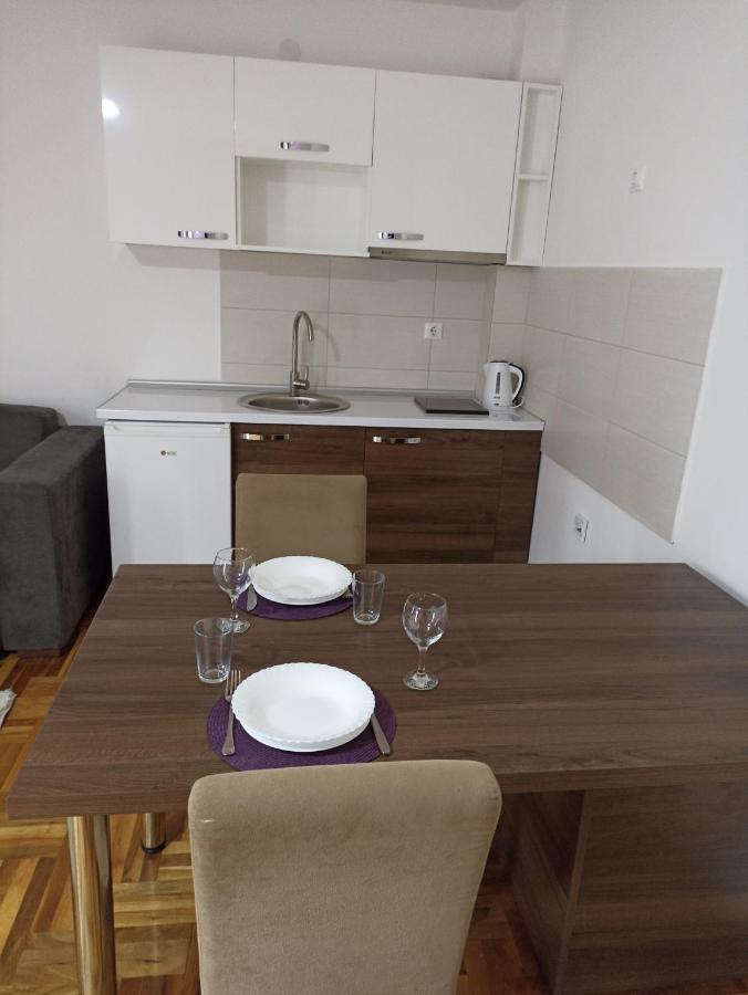 Sunny apartment Nis Bagian luar foto
